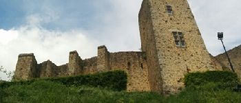 Point d'intérêt Chevreuse - château de la madeleine - Photo