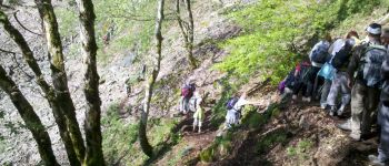 Punto de interés Stosswihr - 04 - Sentier des Roches - Photo