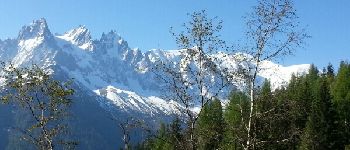 Point d'intérêt Chamonix-Mont-Blanc - panorama mt blanc - Photo
