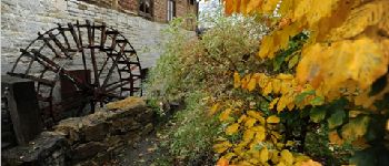 Punto de interés Rochefort - Belvaux's old watermill - Photo