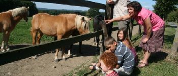 Punto di interesse Beauraing - Comogne horse-milking farm - Photo