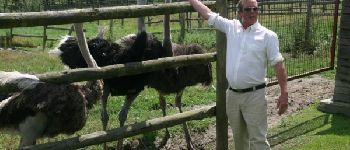 Punto de interés Rochefort - The Doneu Ostrich Farm - Photo