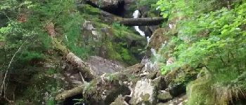 Punto de interés Lepuix - Cascade du Rummel - Photo