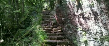 Point d'intérêt Ottrott - 11 - Sentier des Merveilles, un escalier sous le Mur Païen - Photo
