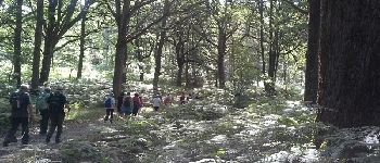 Punto de interés Poigny-la-Forêt - Gros querçus - Photo