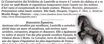 Point d'intérêt Lunéville - Lunéville 09 - Photo