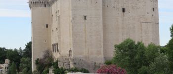 Point d'intérêt Tarascon - Chateau de Tarascon - Photo