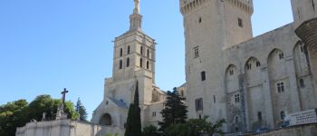 Point d'intérêt Avignon - Notre dame des doms  - Photo