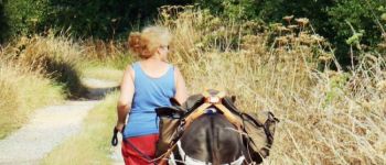 POI Nort-sur-Erdre - Le temps d'une balade les ânes du Biaù chemin - Photo