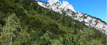 Point d'intérêt Seyssinet-Pariset - les trois pucelles - Photo