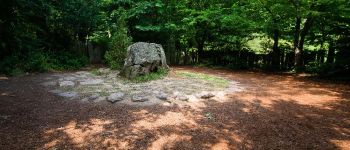 POI Paimpont - Le tombeau de Merlin - Photo