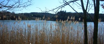 Punto de interés Saint-Jeure-d'Ay - bord du lac des Meinettes - Photo