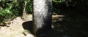 Punto di interesse Nages - Menhir de Tribi - Photo
