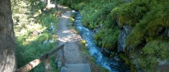 Point d'intérêt Orsières - Prise d'eau du bisse du petit ruisseau - Photo