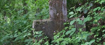 Point of interest Beauraing - Commemorative cross - Photo