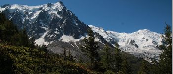 Point of interest Chamonix-Mont-Blanc - Chamonix - Photo