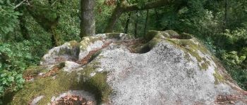 Point d'intérêt Sulniac - Rocher de Quil - Photo