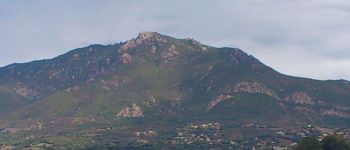 Point d'intérêt Ajaccio - 00 - Le Monte Aragnascu (888 m) - Photo
