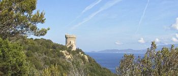 Punto de interés Coti-Chiavari - 01 - La Tour génoise de Capu di Muru <small><small>(© André)</small></small> - Photo