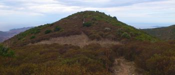 Point d'intérêt Appietto - 22 - Ascension de la Punta Curbajola (794 m) - Photo
