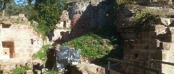 Point d'intérêt Dambach - ruine du schoeneck - Photo