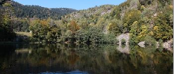 Punto de interés Rimbach-près-Masevaux - lac neuweiher - Photo