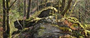 Point d'intérêt Herbeumont - Entre pierre et nature - Photo