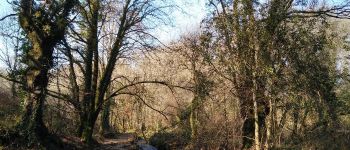 Point d'intérêt Elven - Ruisseau de Kerbiler - Photo