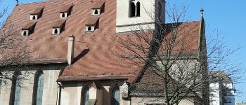 Point d'intérêt Strasbourg - Point 5 - Église Saint Nicolas - 1182 - Photo