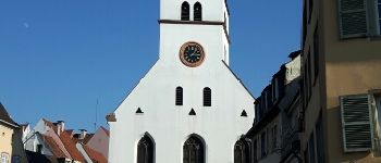 POI Straatsburg - Point 15 - Église Saint Guillaume - 1300 - Photo