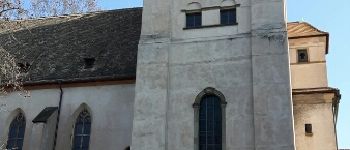 Point d'intérêt Strasbourg - Point 16 - Église Sainte Madeleine - 1478 - Photo