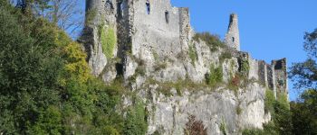 Punto de interés Onhaye - Ruines de Montaigle - Photo
