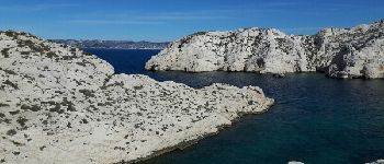 Point of interest Marseille - Calanques de Morgiret - Photo