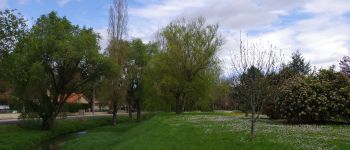 Point d'intérêt Ruffec - Arboretum - Photo
