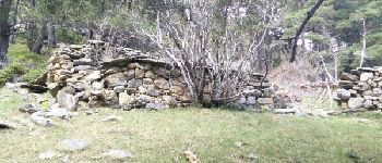 Point d'intérêt Olette - Point 13 ruine en pierres seches - Photo