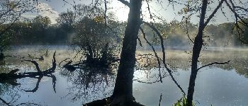 POI Sandillon - étang de Vildé - Photo