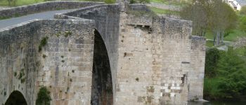 Point of interest Gorges du Tarn Causses - Pont de Quezac à Ispagnac - Photo
