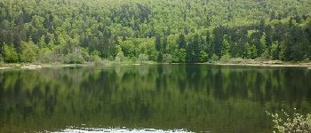 POI Woll - lac de blanchemer - Photo