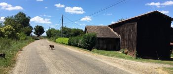 Punto de interés Couthures-sur-Garonne - route  - Photo