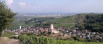 POI Katzenthal - Point 7 -Katzenthal et le château de Wineck  - Photo