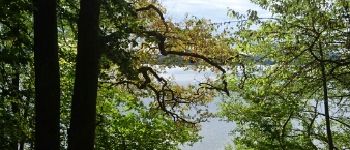 Point d'intérêt Montsauche-les-Settons - 12 - Un tour de lac très boisé - Photo