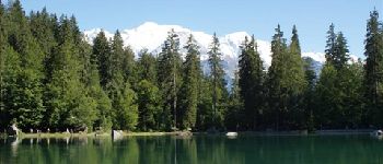 Point d'intérêt Passy - lac vert - Photo