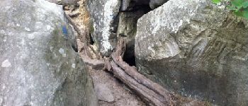 Point of interest Fontainebleau - caverne des brigands - Photo