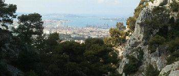 Point d'intérêt Toulon - Petit passage d'escalade - Photo