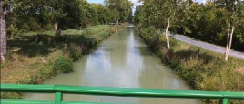 Point d'intérêt Ciré-d'Aunis - Canal - Photo