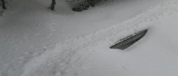 Punto de interés Font-Romeu-Odeillo-Via - le ruisseau a disparu sous la neige  - Photo