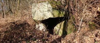 Point d'intérêt Flagy - 02 - Un mini dolmen - Photo