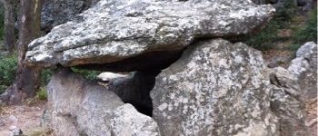 Punto di interesse Argelès-sur-Mer - Dolmen de cova de l'Alarb - Photo
