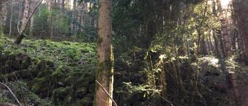 Point d'intérêt Fougax-et-Barrineuf - gros bâtis en triangle - Photo