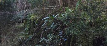 Punto de interés Fougax-et-Barrineuf - gros mur de soutènement? - Photo